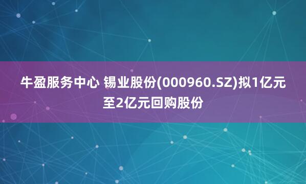 牛盈服务中心 锡业股份(000960.SZ)拟1亿元至2亿元回购股份