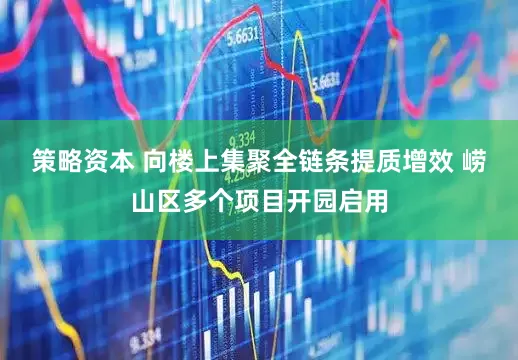 策略资本 向楼上集聚全链条提质增效 崂山区多个项目开园启用